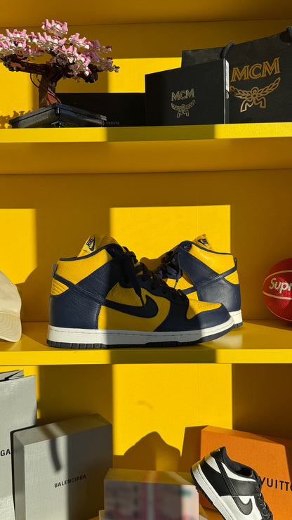 Nike Dunk High Michigan (2016)