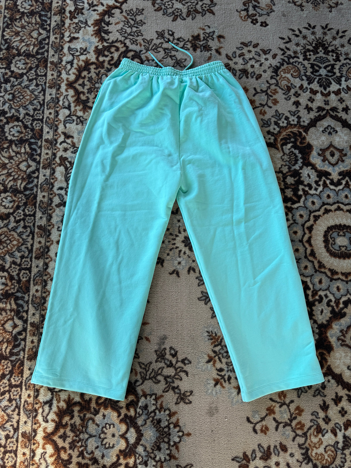 Balenciaga Joggers Mint