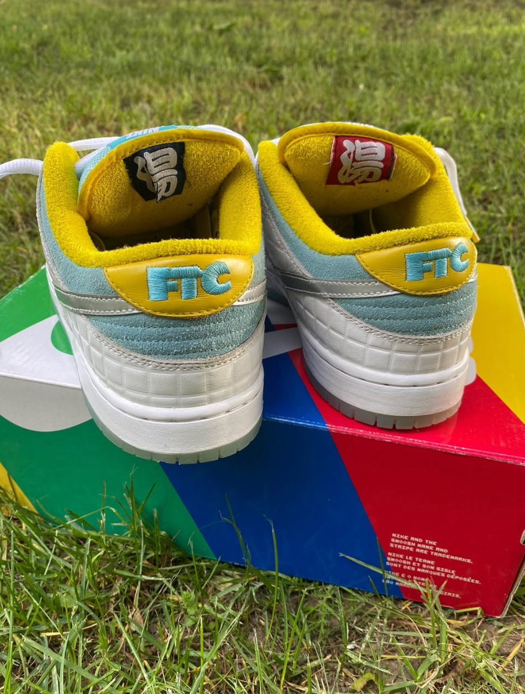 Nike SB dunk low FTC