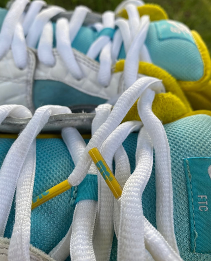 Nike SB dunk low FTC