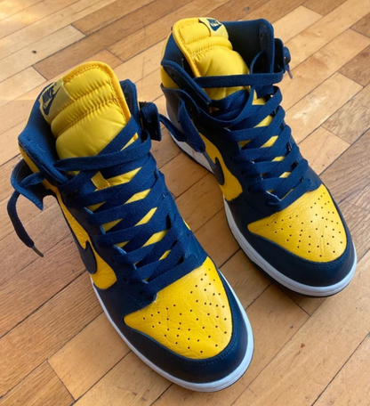 Nike Dunk High Michigan (2016)