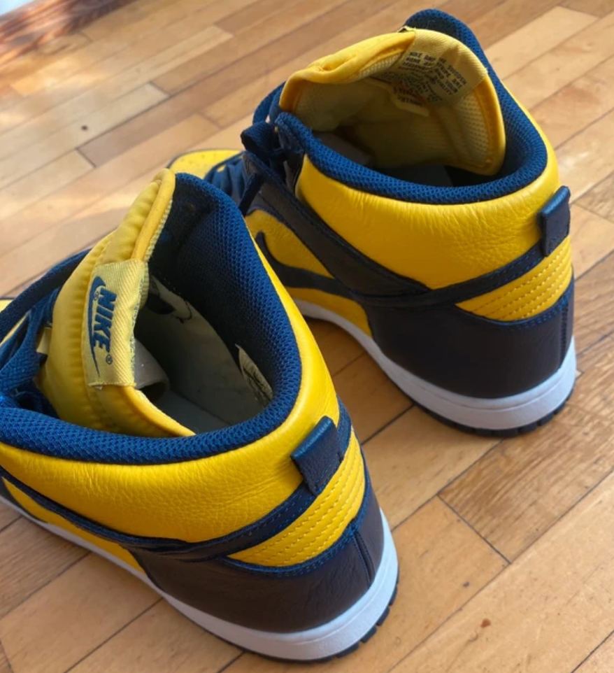 Nike Dunk High Michigan (2016)